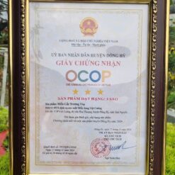 Giấy chứng nhận OCOP miến dong Việt Cường